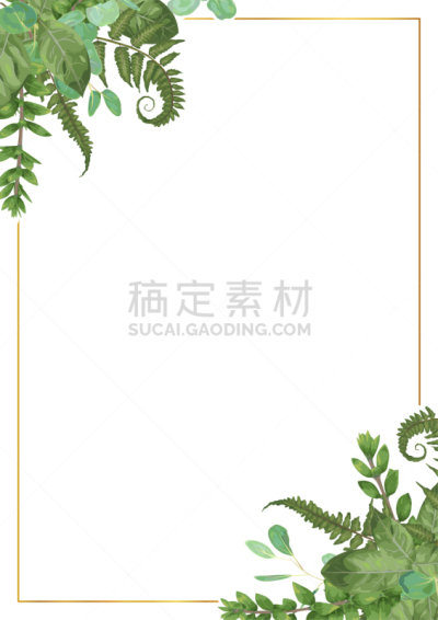 边框,黄杨木,晕影效果,桉树,蕨类,黄金,分离着色,长方形,明信片,枝