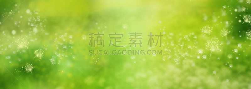 春天,背景,绿色,抽象,复活节,植物,户外,晴朗,草地,白色