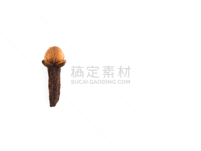 一个物体,香料,白色,概念,丁香,背景,分离着色,棍,农业,背景分离
