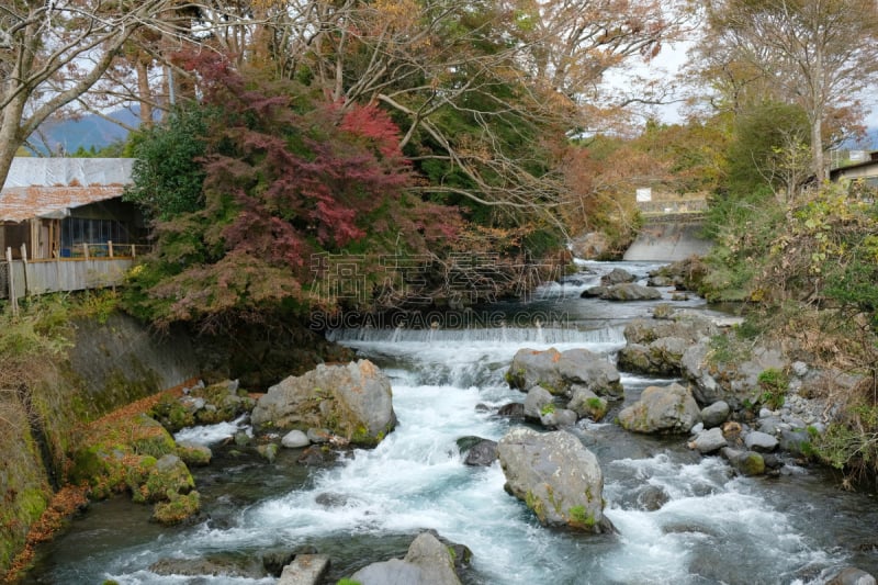 瀑布,秋天,普氏野马,自然美,时间,shiraito falls,飘然,富士宫,热带气候,环境