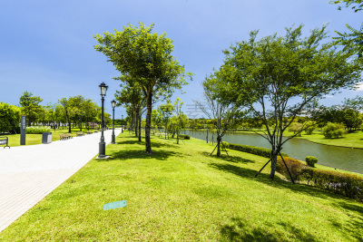 公园,湖,城市,自然美