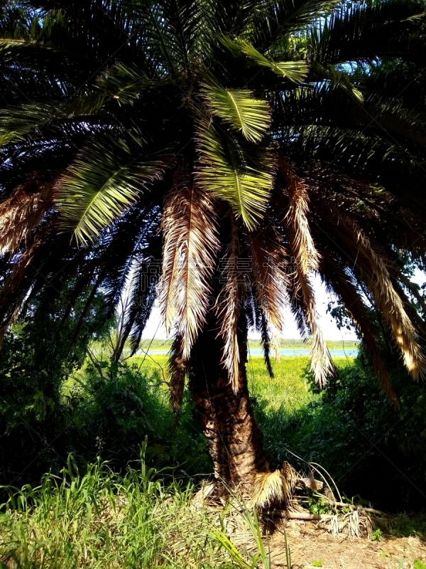 Reserva Ecológica Costanera Sur, is a 865-acre tract of low land on the Río de la Plata riverbank located on the east side of the district of Puerto Madero in Buenos Aires CBD, Argentina.