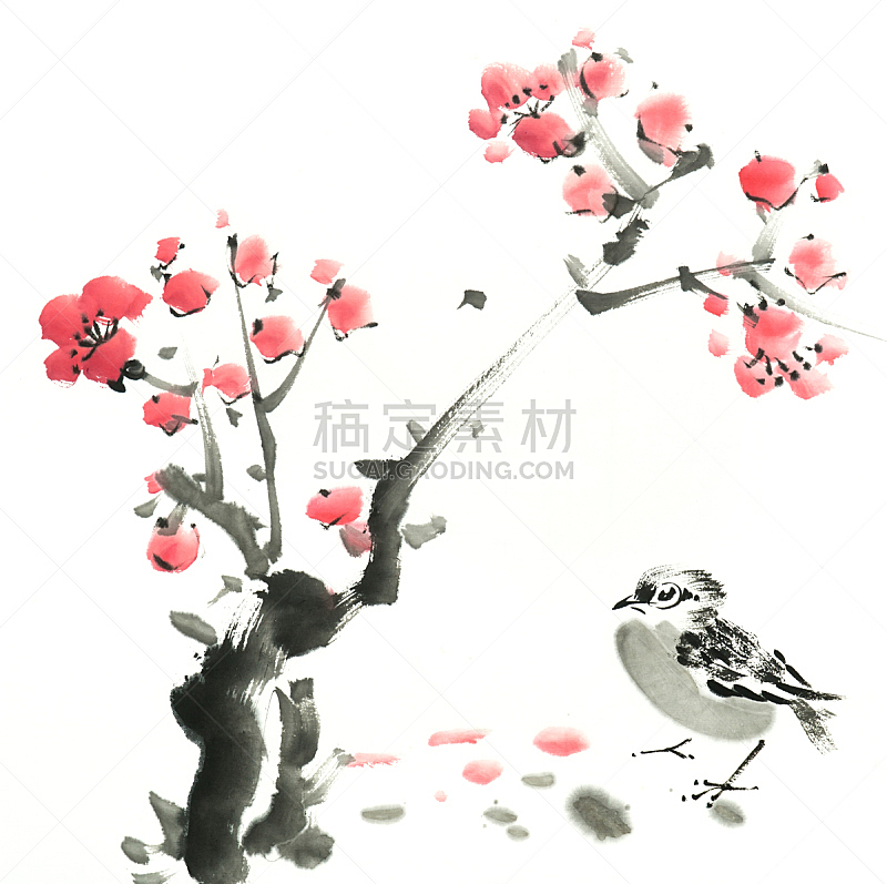 传统,鸟类,梅花,春天,中国画,绘画插图,美,绘画作品,艺术,水平画幅