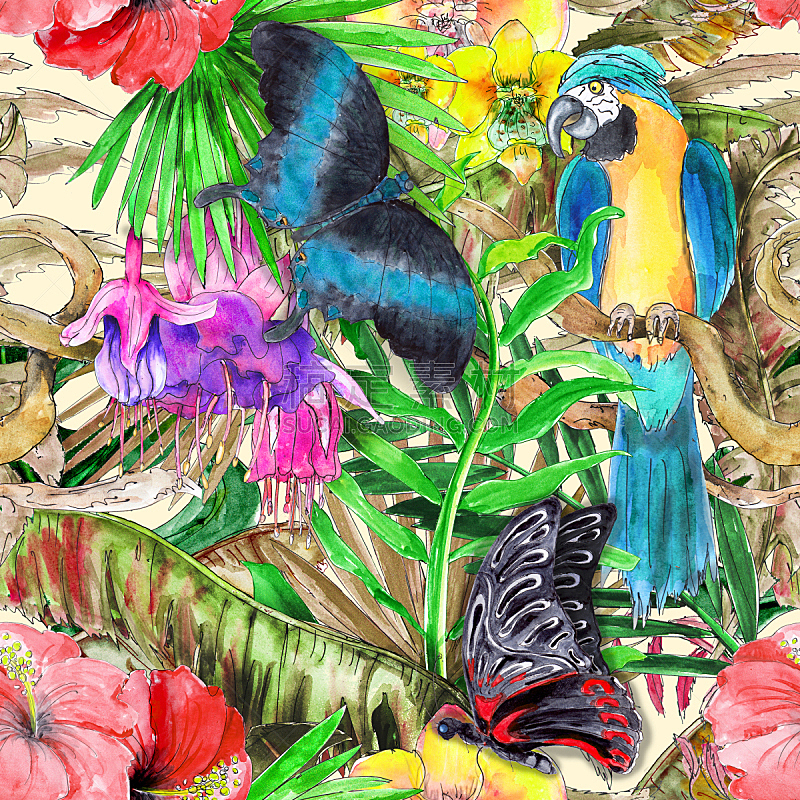 四方连续纹样,蝴蝶,植物群,水彩画,鸡尾酒,多色的,热带雨林,动物手,绘制