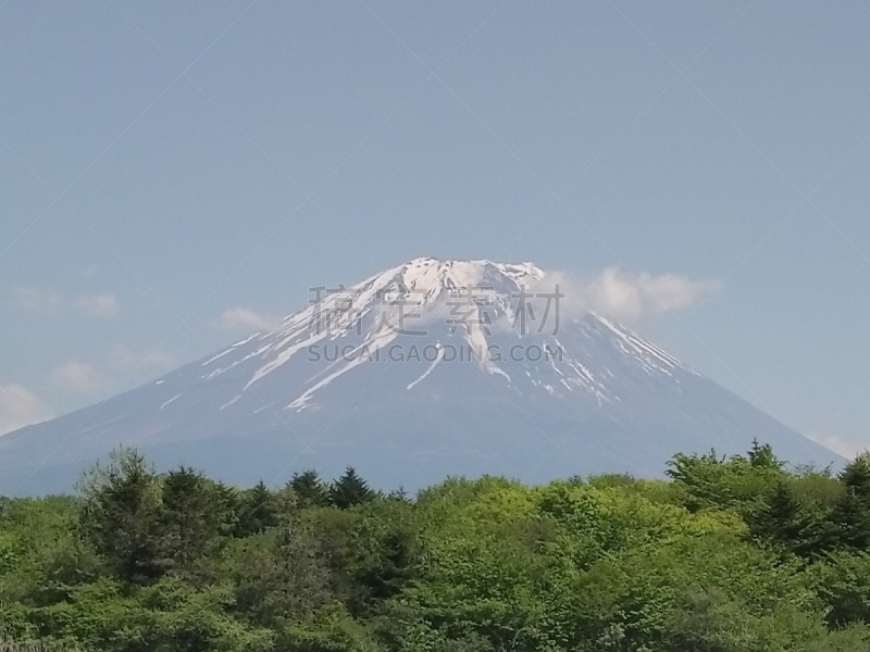 日本,茶,高速列车,著名景点,自然美,动物,春天,京都市,住宅内部,富士山