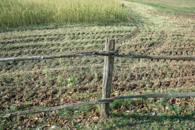Clôture en bois au bord d'un champs