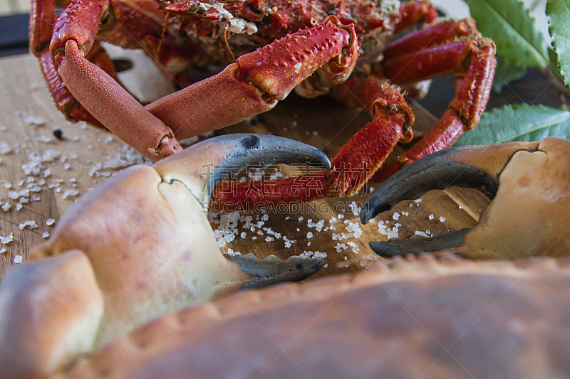 螃蟹,煮食,爪,厨房,大特写,厚木板,加利西亚,传统,清新,华贵