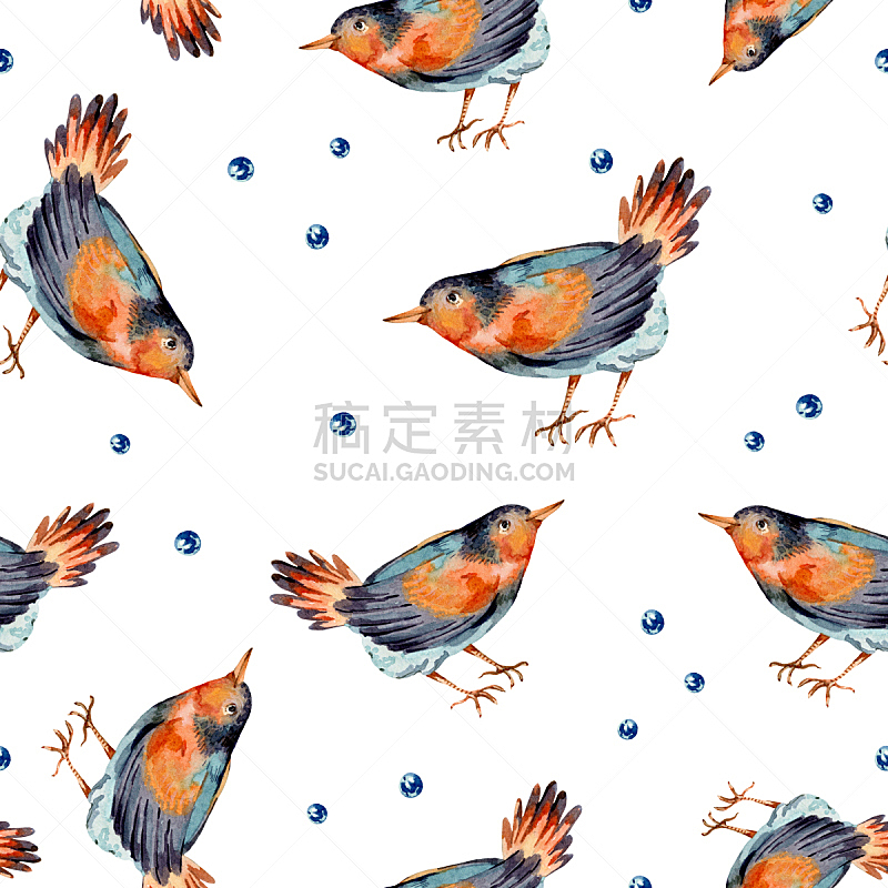 可爱的,鸟类,四方连续纹样,自然,浆果,水彩画,森林,蓝色,纹理,野生动物