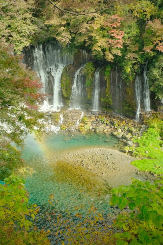 富士山,瀑布,shiraito falls,自然美,居住区,普氏野马,富士宫,环境,枝繁叶茂,静水