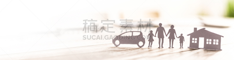 家庭,汽车,房屋,概念,健康保健,保险,动物,风险,波兰