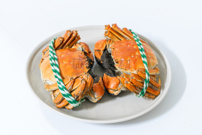 螃蟹,贝壳,白色背景,上海,大闸蟹,蓝蟹,活力,淡水蟹,东方食品,蒸菜