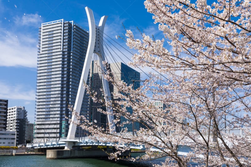 Waterfront and cherry blossom landscape２０