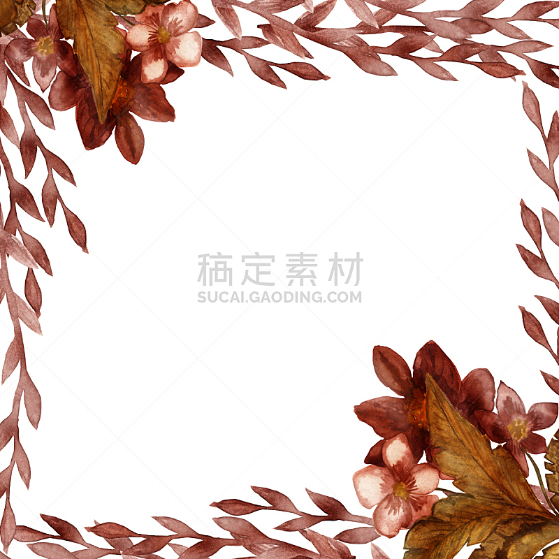边框,自然美,红色,秋天,枝,叶子,式样,分离着色,留白,花