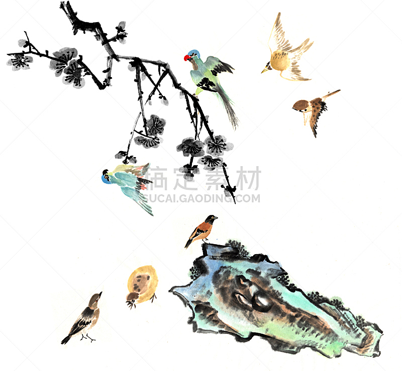 石头,花头,动物,李子,水平画幅,绘画插图,鸟类,古老的,墨水