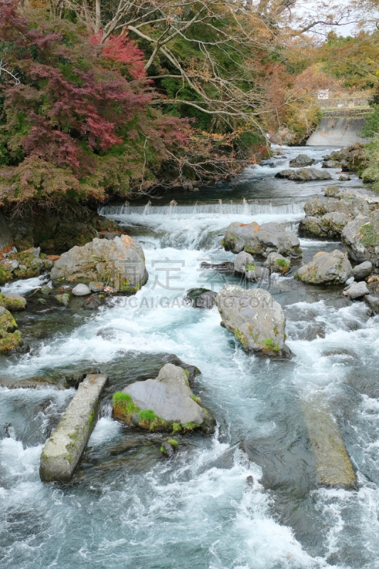 瀑布,秋天,自然美,普氏野马,时间,shiraito falls,飘然,富士宫,热带气候,环境