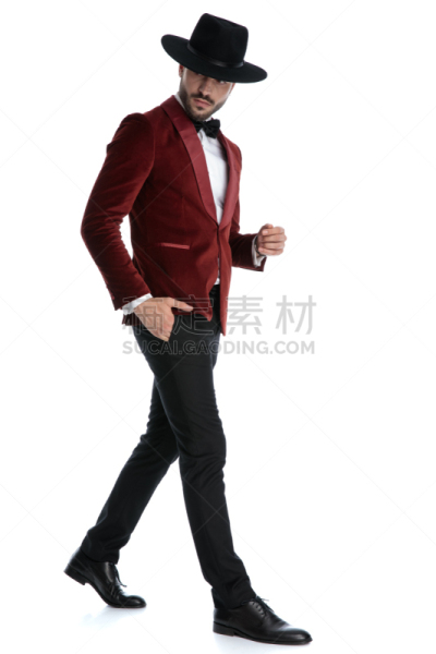 无尾礼服,青年男人,红色天鹅绒,四处看看,秘密,背景分离,热情,罗马尼亚,拿着,时装模特
