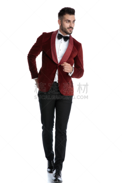 无尾礼服,时装模特,青年人,红色天鹅绒,四处看看,背景分离,仅男人,罗马尼亚,拿着,前进的道路