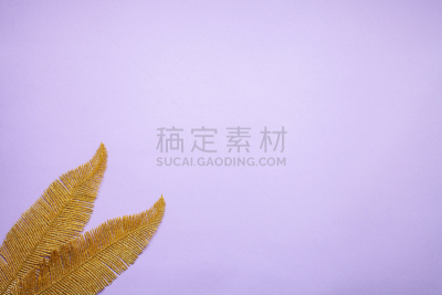 新年前夕,平铺,黄金,概念,冬天,叶子,留白,粉色背景,构图
