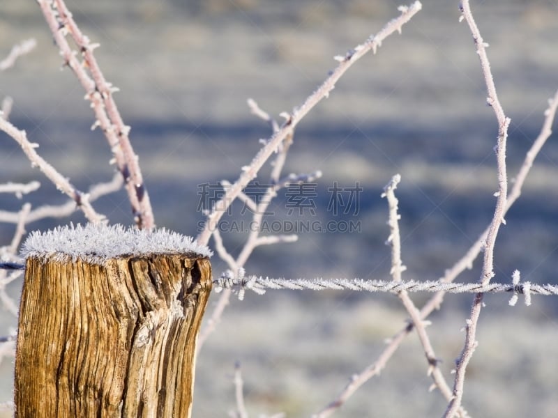 givre Lans en Vercors sur barbelés