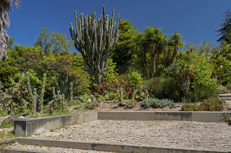 The Botanical Garden of Porto is located in the gardens of Quinta do Campo Alegre, in the city of Porto, Portugal. From 1949, the Portuguese state took possession of this farm, converting it into the Botanical Garden.
The Botanical Garden currently includ