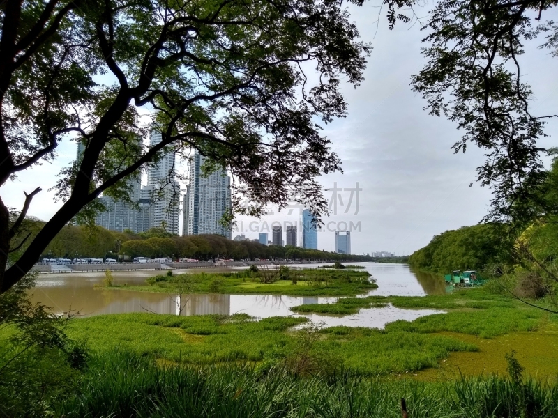 Reserva Ecológica Costanera Sur, is a 865-acre tract of low land on the Río de la Plata riverbank located on the east side of the district of Puerto Madero in Buenos Aires CBD, Argentina.