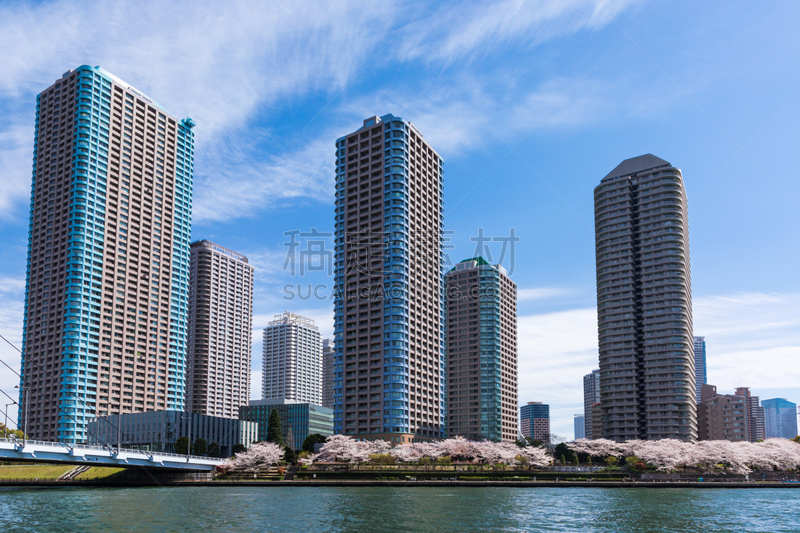 Waterfront and cherry blossom landscape５