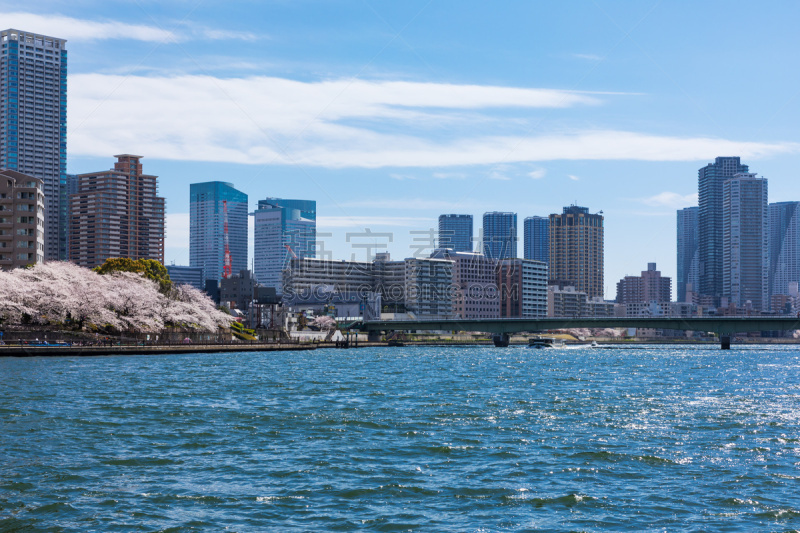 Waterfront and cherry blossom landscape９