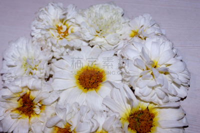 自然美,菊花,传统,请柬,浪漫,壁纸,传统节日,现代,园林,万寿菊