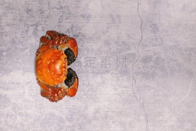 螃蟹,蒸菜,贝壳,白色背景,中华绒螯蟹,蓝蟹,上海,大闸蟹,淡水蟹,东方食品