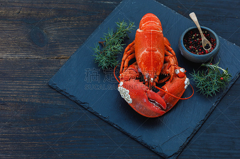 煮食,龙虾,蓝色背景,简单,一个物体,长度,螯虾,蒸菜,餐具,贝壳