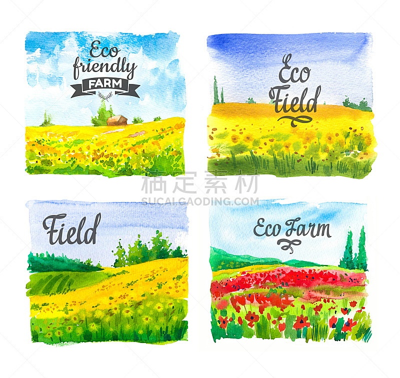 农业,农场,向日葵,背景,绘画插图,自然,有机食品,田地,环境