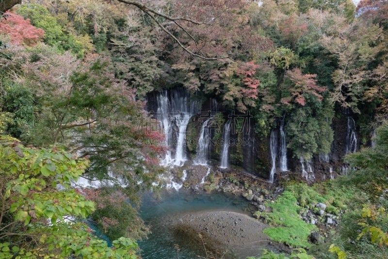 富士山,瀑布,shiraito falls,自然美,普氏野马,居住区,富士宫,环境,枝繁叶茂,静水