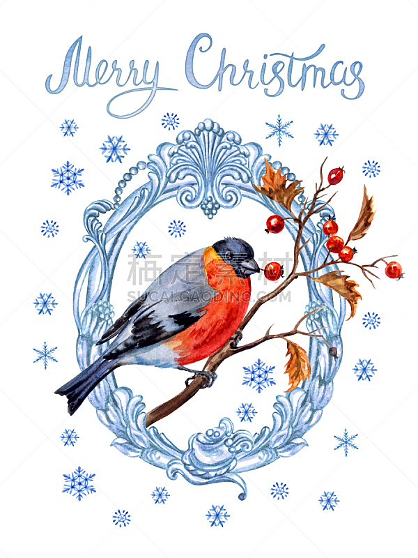 圣诞卡,贺卡,水彩画颜料,背景分离,边框,雪,浆果,复古风格,动物,鸟类
