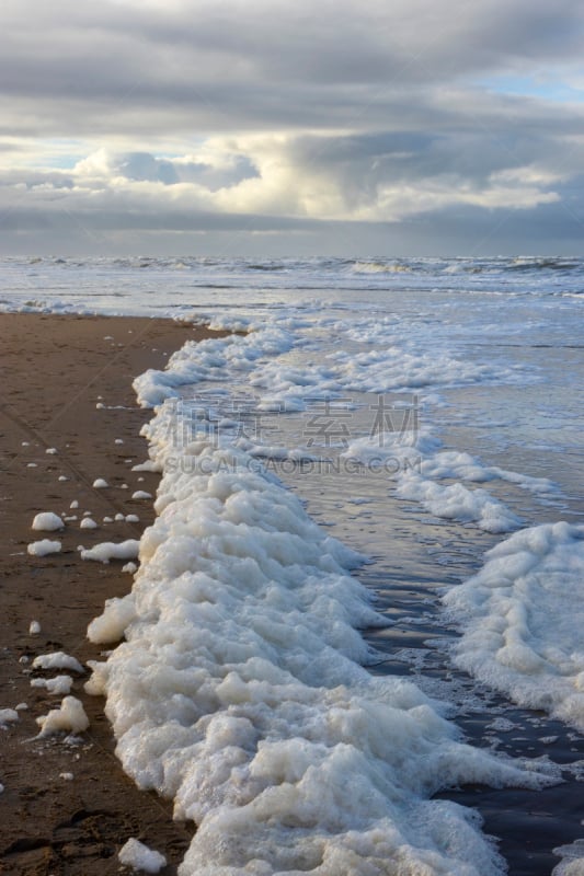 藻类,海滩,白色,自然,海洋生命,垂直画幅,风景,环境,云,图像