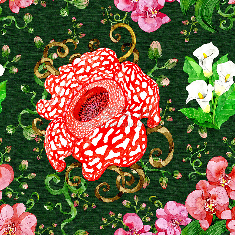 大王花,四方连续纹样,兰花,马蹄莲,绿色背景,花