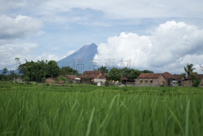 墨拉皮火山,山,稻田,乡村,背景,接力赛,田地