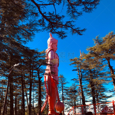 西姆拉,寺庙,寒冷,喜马偕尔邦,霜,雪,自然美,松树,树干,植物