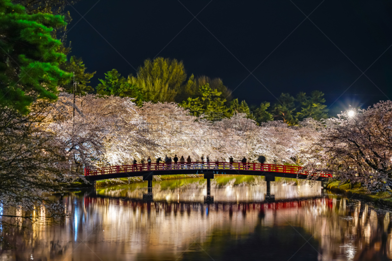 樱花,季节,弘前公园,光,传统节日,春天,正下方视角,室内过夜,公园,河流