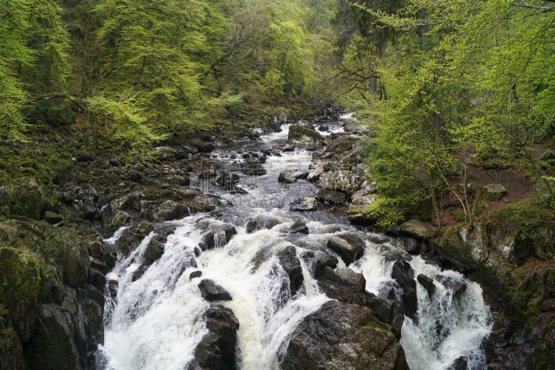 敦克尔德,river braan,黑色,冬宫博物馆,环境,英国,水面,著名景点,自然美,河流