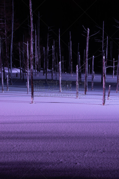 湖,冬天,美瑛町,贺卡,风,雪,池塘,烙心蓝池,深雪,背景