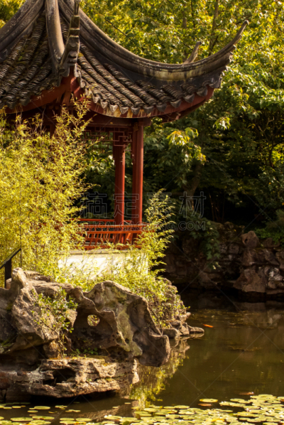 中式庭院,公元前,温哥华,公园,加拿大,著名景点,自然美,湖,植物