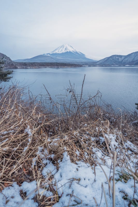 雪,湖,富士山,富士河口湖,日本,自然,季节,冬天,山梨县,地形