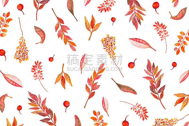 橙色,红色,秋天,式样,水彩画,水彩画颜料,美术工艺,多样,浆果,植物