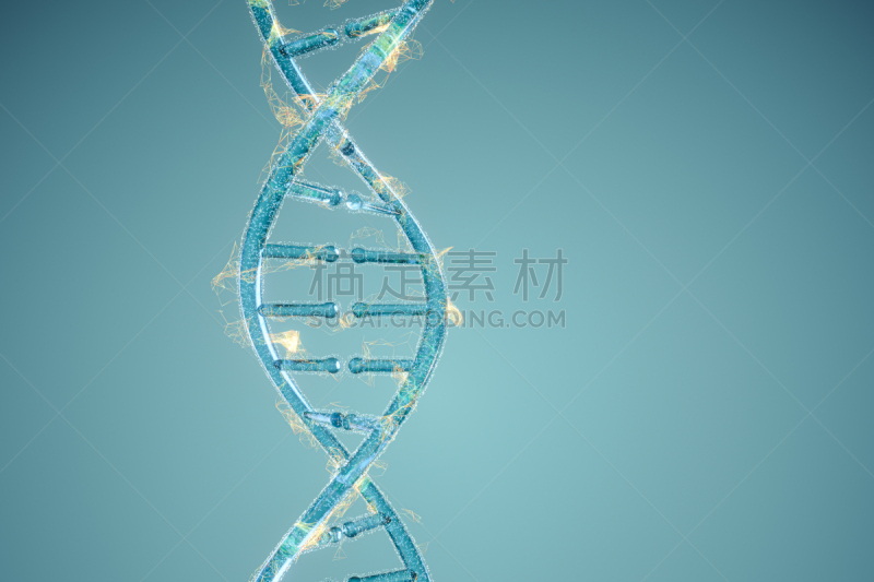 三维图形,染色体,脱氧核糖核酸,遗嘱,生物科技,分子结构,水平画幅,无人,绘画插图,科学