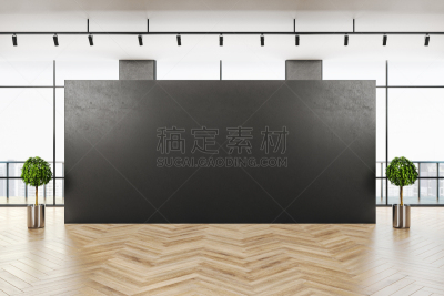 现代,室内,灰色,空的,华贵,模板,住宅内部,想法,走廊,三维图形