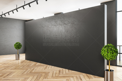 空的,室内,墙,灰色,华贵,模板,现代,住宅内部,想法,走廊