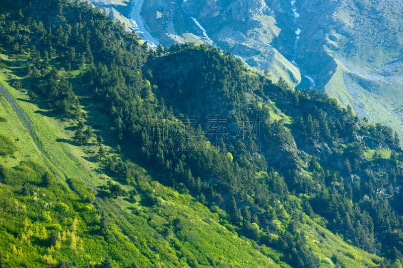 山谷,山脉,森林,绿山国家森林公园,佛蒙特,山口,景观设计,环境,草,自然美