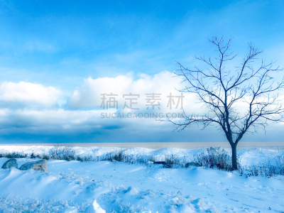 海滩,密歇根湖,气候,寒冷,云景,一月,环境,霜,雪,天气