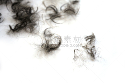 美发师,白色背景,银色,穗,留白,黑色,修改系列,卷着的,背景分离,灰色