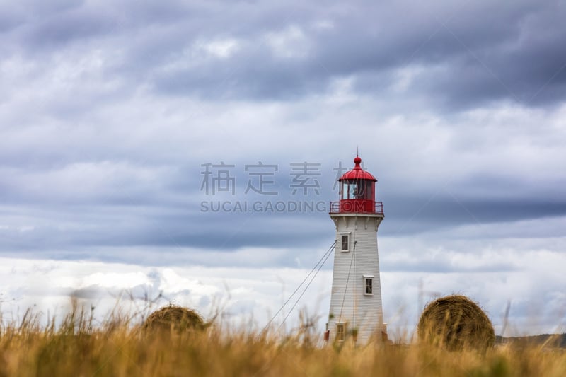 麦迪兰群岛,灯塔楼,平视角,田地,低的,小麦,洛杉矶县,云景,魁北克,草